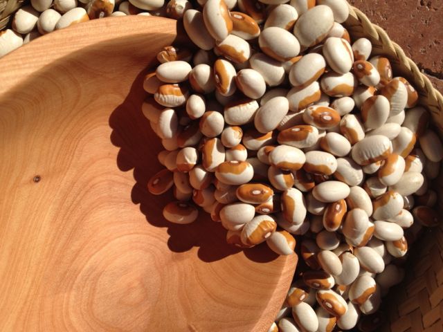 Heiloom Yellow-eye Bean--a delectable alternative to black-eye peas for New Years or great as baked beans anytime!