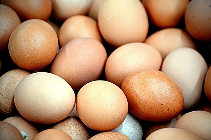 chicken eggs 316412_1280